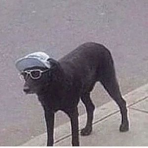 Meet your Posher, Eric